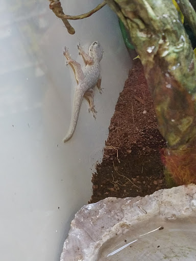 Pet Supply Store «Pet Supplies Plus», reviews and photos, 4121 Buffalo Rd, Erie, PA 16510, USA