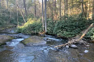 Wild Creek Falls image