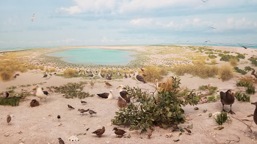 Natural History Museum «Denver Museum of Nature & Science», reviews and photos, 2001 Colorado Blvd, Denver, CO 80205, USA