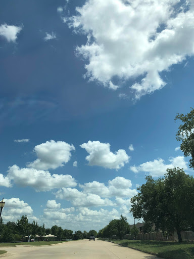 Dog Park «Freedom Dog Park», reviews and photos, 2675 Trophy Park Dr, Roanoke, TX 76262, USA