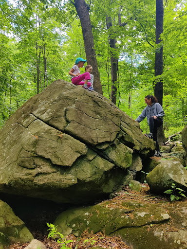 Nature Preserve «Sourland Mountain Preserve», reviews and photos, 421 E Mountain Rd, Hillsborough Township, NJ 08844, USA