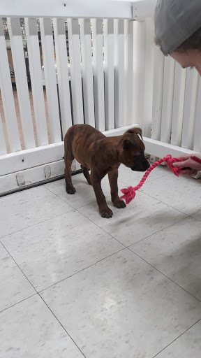 Pet Store «Pets Plus - Quakertown», reviews and photos, 117 S West End Blvd, Quakertown, PA 18951, USA