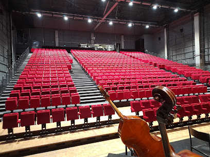 La Rampe, Scène conventionnée danse et musiques