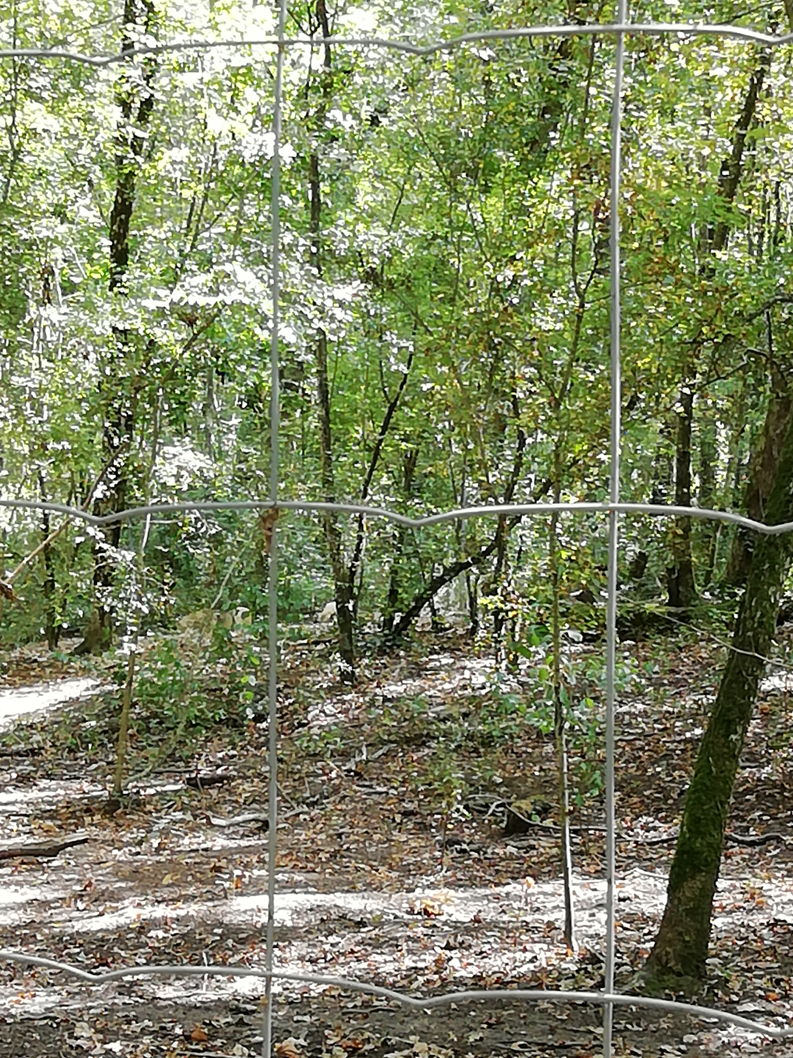 Photo n° 8 de l'avis de Franck.a fait le 23/06/2019 à 15:03