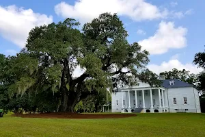 Hampton Plantation State Historic Site image