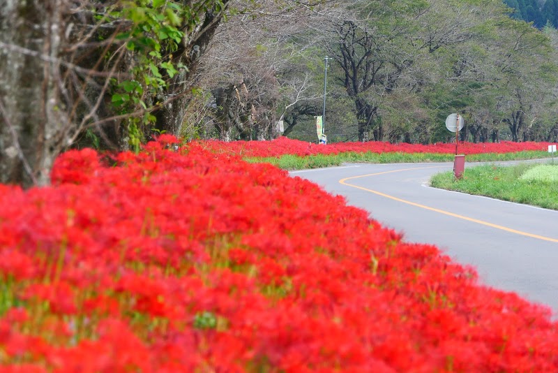 山県市立伊自良北小学校