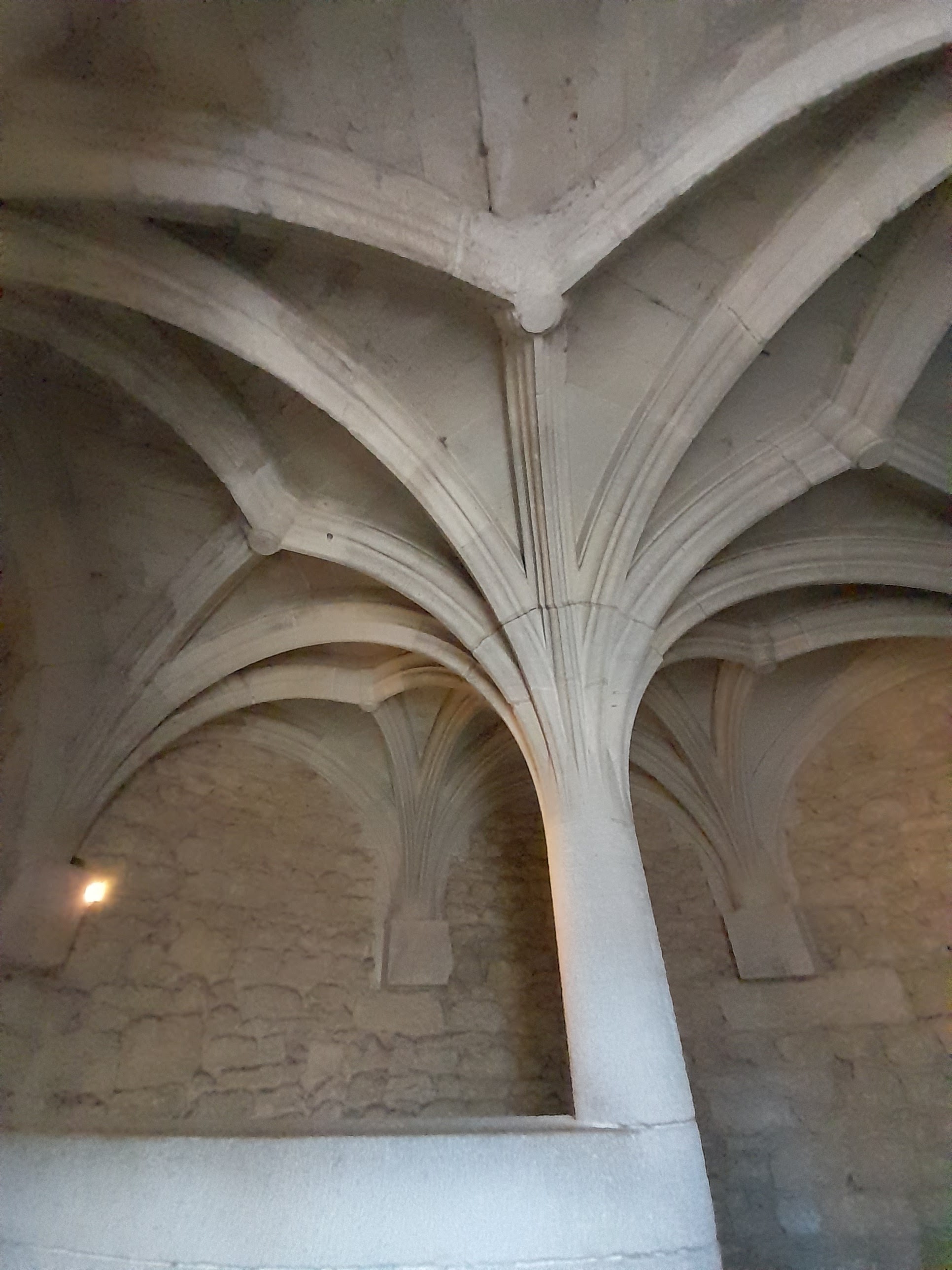 Photo n° 7 de l'avis de Tessier.o fait le 03/08/2022 à 11:41