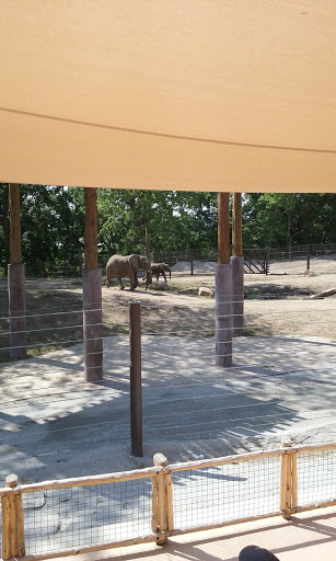 Zoo «Durhams Bear Canyon», reviews and photos, 3701 S 10th St, Omaha, NE 68107, USA