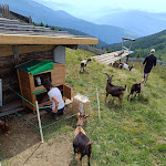 Photo n°3 de l'avis de Stefano.a fait le 10/07/2023 à 19:25 sur le  Ochsenalm - Jochtal à Valler Tal