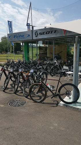 Rezensionen über Fehr Velos GmbH in Amriswil - Fahrradgeschäft