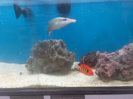 Pet Supply Store «Petco Animal Supplies», reviews and photos, 216 Colony Pl, Plymouth, MA 02360, USA