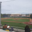 Malcolm U. Pitt Field