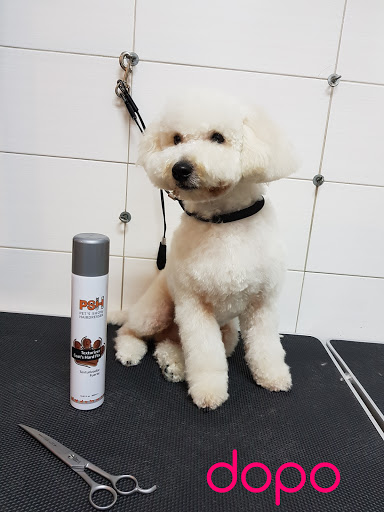 Pensioni per cani e dog hotel a Nani' Beauty Farm