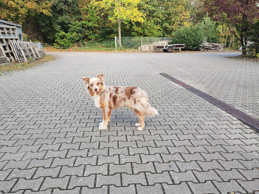 Tiertherapie Allgäu unter Niederrieden, 