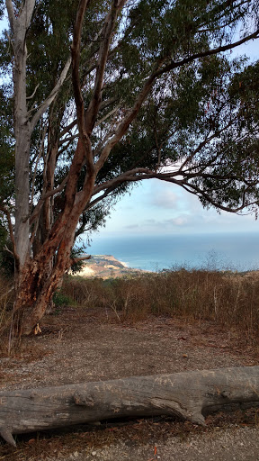 Nature Preserve «Forrestal Nature Reserve», reviews and photos, 32201 Forrestal Dr, Rancho Palos Verdes, CA 90275, USA