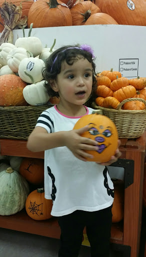 Grocery Store «Winn-Dixie», reviews and photos, 6301 County Line Rd, Miramar, FL 33023, USA