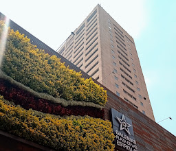 Galerías Plaza de las Estrellas photo