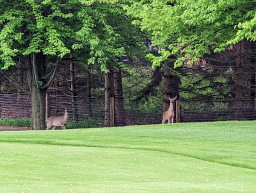 Golf Course «Bull Valley Golf Club», reviews and photos, 1311 Club Rd, Woodstock, IL 60098, USA