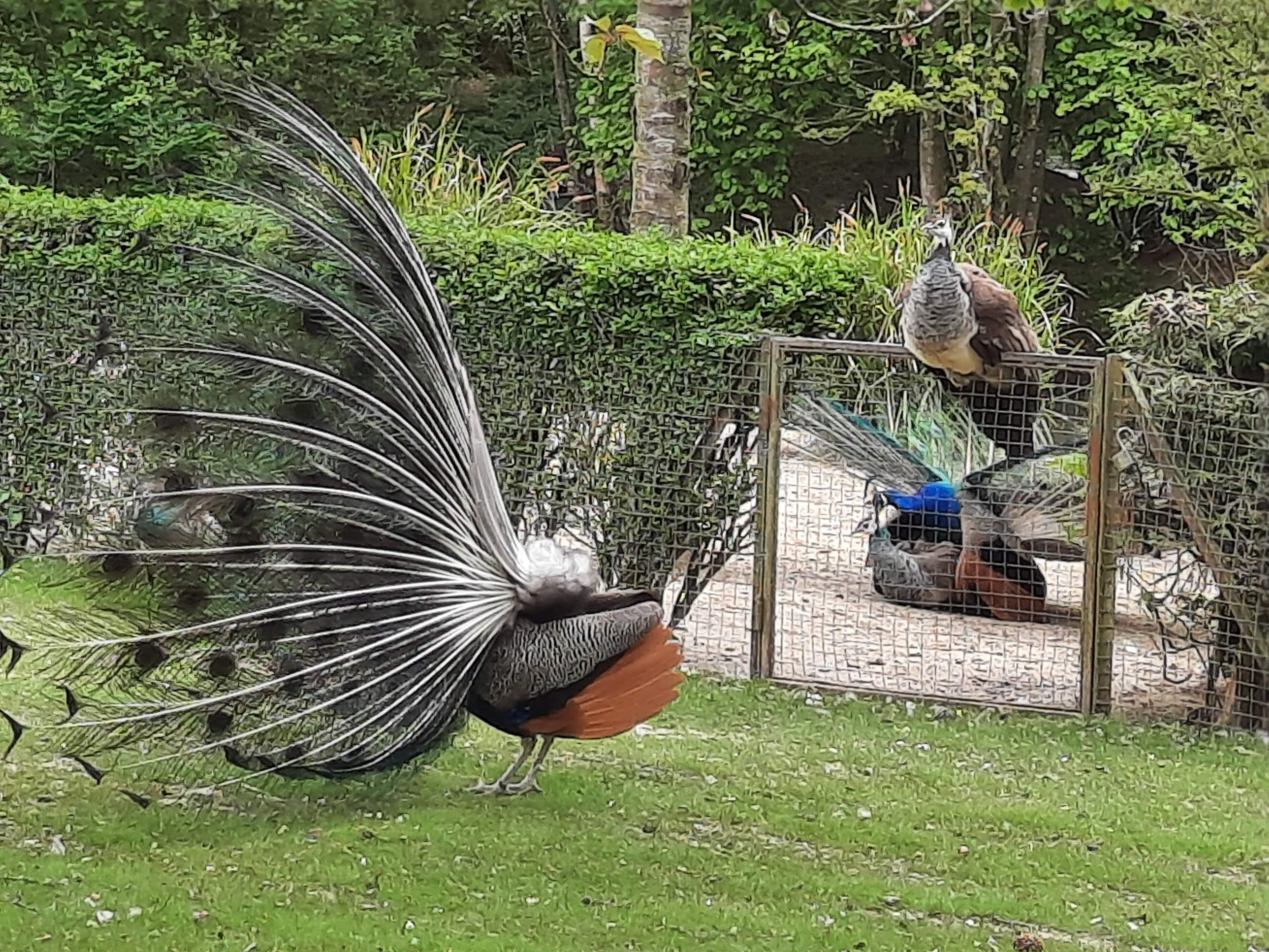 Photo n° 4 de l'avis de Laetitia.o fait le 07/05/2022 à 05:45