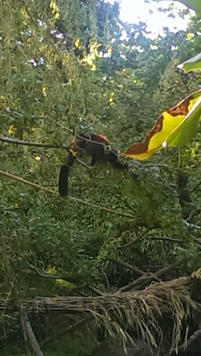 Zoo «Zoomazium», reviews and photos, 601 N 59th St, Seattle, WA 98103, USA