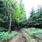 Photo n°2 de l'avis de Bernhard.e fait le 09/07/2021 à 19:49 sur le  Gästehäuser Hotel Singender Wirt à Haibach