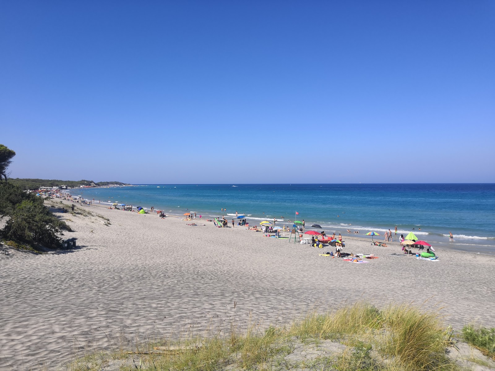 Spiaggia Laghi Alimini'in fotoğrafı plaj tatil beldesi alanı