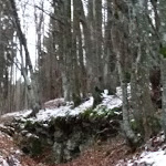 Photo n°4 de l'avis de Federico.a fait le 18/11/2016 à 22:27 sur le  Albergo Ristorante San Giovanni à Solagna