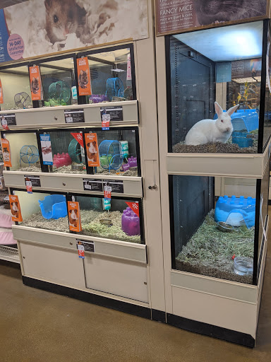 Pet Supply Store «PetSmart», reviews and photos, 1140 W Elliot Rd, Tempe, AZ 85284, USA