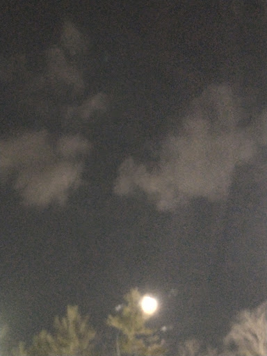 Department Store «Walmart Supercenter», reviews and photos, 33 Sherwood Dr, Tilton, NH 03276, USA