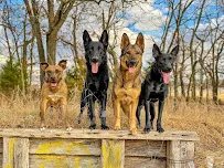 The Rush Pack - Car repair in Grain Valley, MO, Lee's Summit - Rated 5.0/5