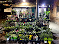 Flower shops Roma