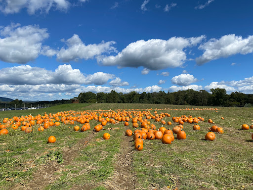 Orchard «Barton Orchards - Noxon Road Store Open Year Round - The Farm is CLOSED for the Season.», reviews and photos, 63 Apple Tree Ln, Poughquag, NY 12570, USA
