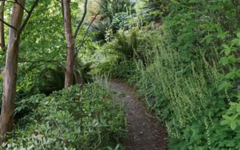 Streissguth Gardens image