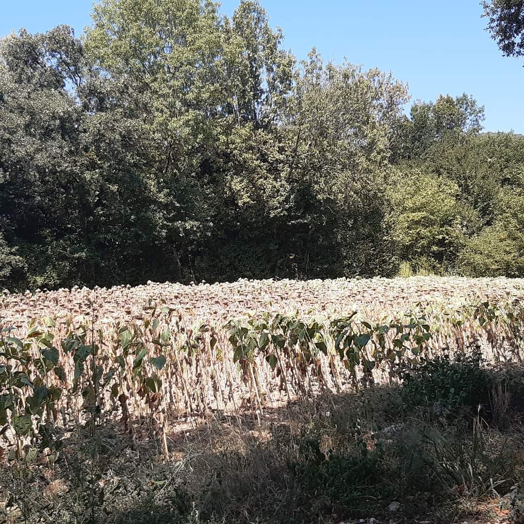 Photo n° 19 de l'avis de Anne.i fait le 13/08/2022 à 16:33