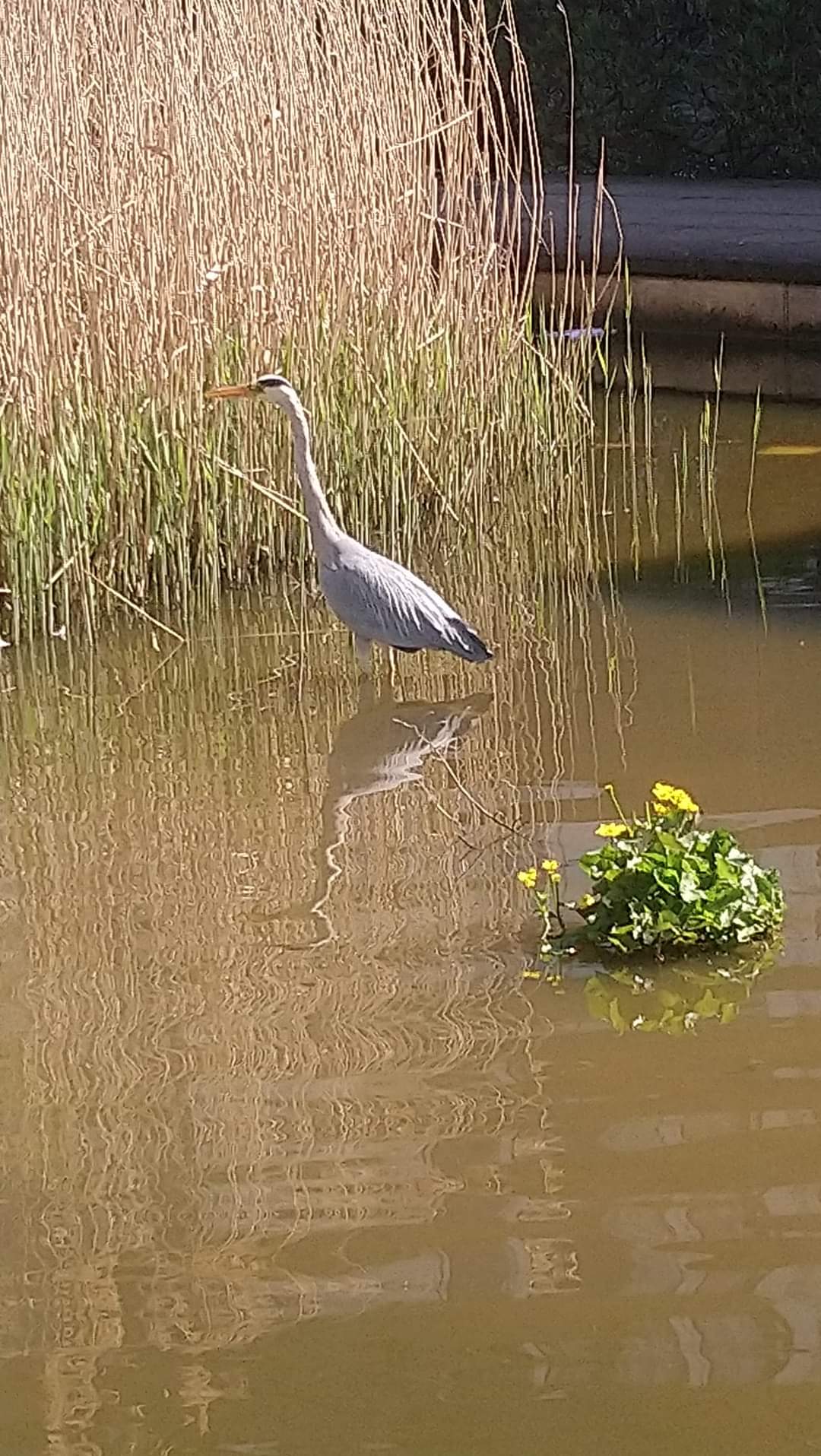 Photo n° 6 de l'avis de Ptitefleur94. fait le 31/07/2019 à 06:20