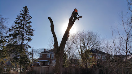 The Urban Arborist Inc.