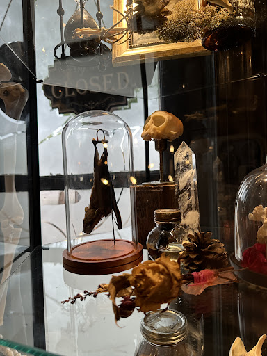 Explore god of war tattoo ideas, creative tattoo ideas in Augusta, available at Moth & Magpie Tattoo