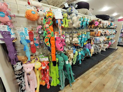 Department Store «HomeGoods», reviews and photos, 8357 Leesburg Pike, Vienna, VA 22182, USA