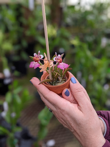 Florist «Little Brook Orchids», reviews and photos, 25 Rider Ave, Lancaster, PA 17603, USA