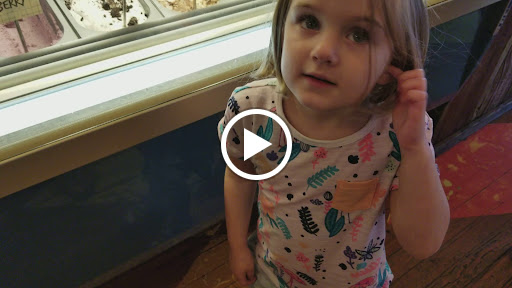 Ice Cream Shop «Nina’s Waffles and Sweets», reviews and photos, 30 E State St, Doylestown, PA 18901, USA