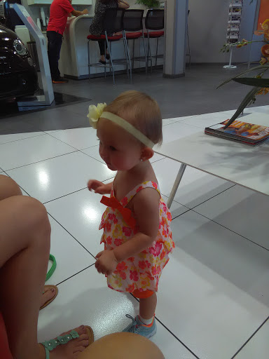 Car Dealer «Brandon Auto Mall Alfa Romeo Fiat», reviews and photos, 11024 Causeway Blvd, Brandon, FL 33511, USA