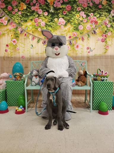 Pet Supply Store «PetSmart», reviews and photos, 11331 Causeway Blvd, Brandon, FL 33511, USA