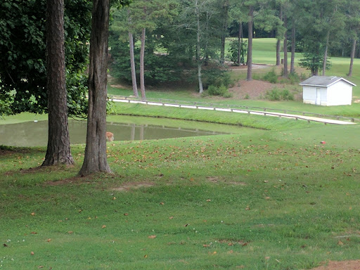 Golf Course «Twin Lakes Golf Course», reviews and photos, 648 Willow Way, Chapel Hill, NC 27516, USA