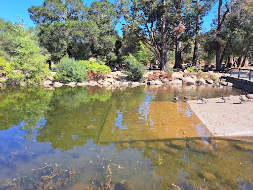 Fishing pond Santa Rosa