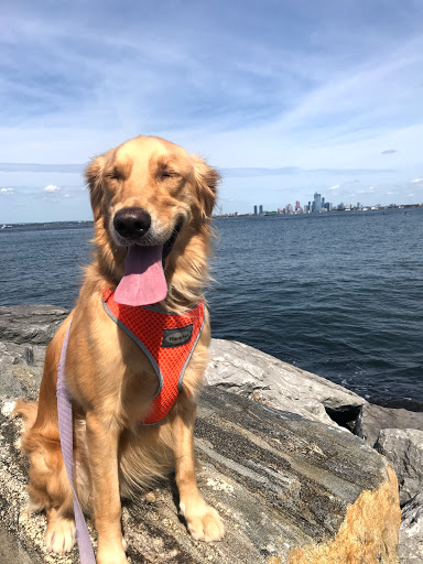 Park «Bush Terminal Piers Park», reviews and photos, Marginal St. & 43rd Street, Brooklyn, NY 11232, USA