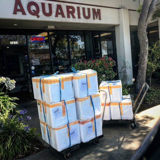 Tropical Fish Store «Aquatic Collection», reviews and photos, 1212 W Winton Ave, Hayward, CA 94545, USA