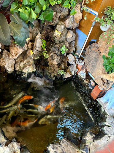 Top 20 cửa hàng mai Thị xã Sơn Tây Hà Nội 2022