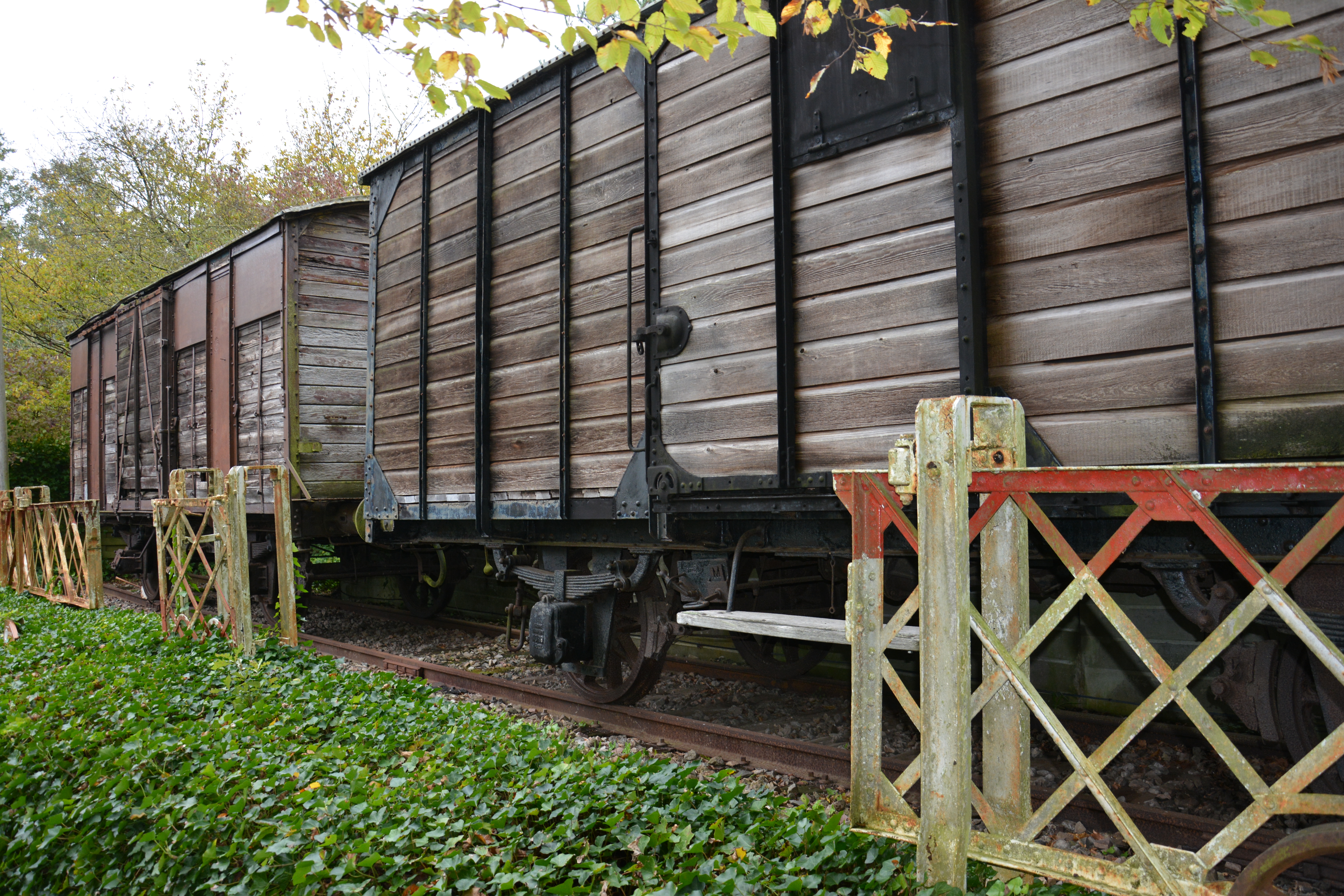 Photo n° 1 de l'avis de Ron.e fait le 21/10/2019 à 16:44