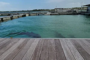 Dolphin Island Park image