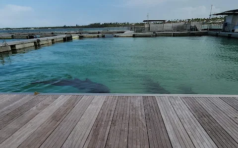 Dolphin Island Park image